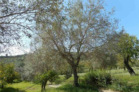 Helårsgrund i Noto, Siracusa, Noto - € 60.000 | Ref: 1TA - foto 7