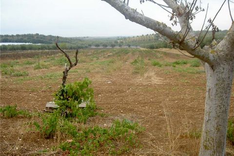 Helårsgrund i Noto, Siracusa, Noto - € 65.000 | Ref: 68T - foto 4