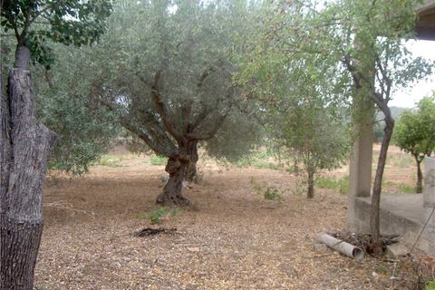 Helårsgrund i Noto, Siracusa, Noto - € 65.000 | Ref: 68T - foto 6