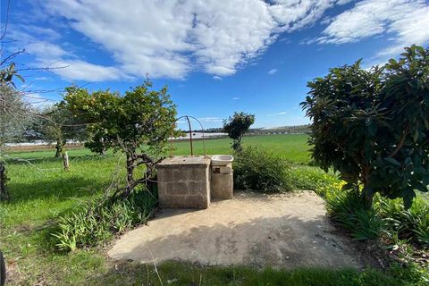 Helårsgrund i Noto, Siracusa, Noto - € 65.000 | Ref: 68T - foto 8