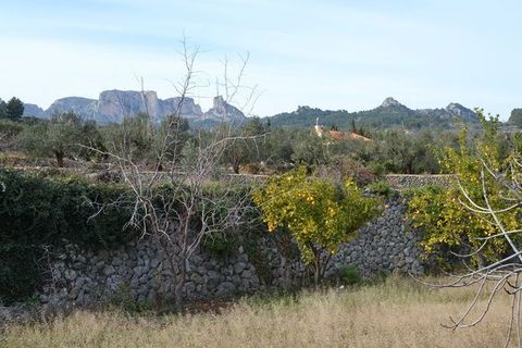Terra a Beniarda, Alicante, Beniarda - € 122.000 | Ref: 6421 - foto 3
