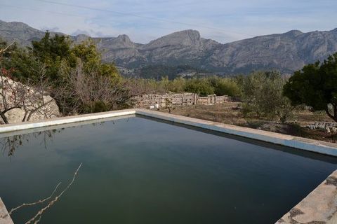 Terra a Beniarda, Alicante, Beniarda - € 122.000 | Ref: 6421 - foto 4