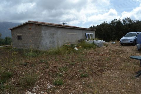 Terra a Beniarda, Alicante, Beniarda - € 122.000 | Ref: 6421 - foto 7