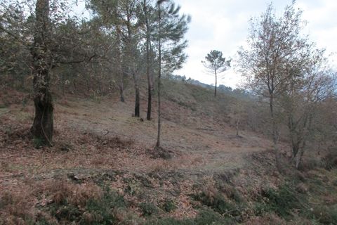 Helårsgrund i Gondufe, Viana do Castelo, Gondufe - € 55.000 | Ref: MDS3168 - foto 7