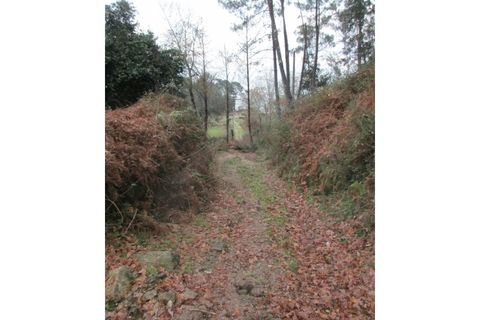 Helårsgrund i Gondufe, Viana do Castelo, Gondufe - € 55.000 | Ref: MDS3168 - foto 8