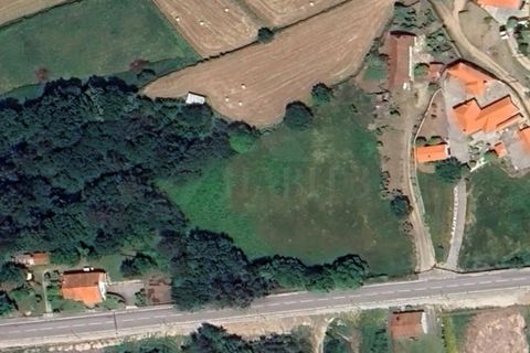 Tomt i Formariz e Ferreira, Viana do Castelo, Formariz e Ferreira - € 40 000 | Ref: MDS4017 - foto 3