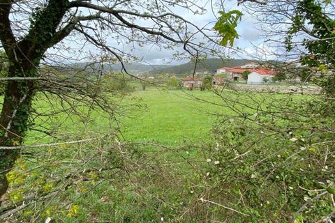 Tomt i Formariz e Ferreira, Viana do Castelo, Formariz e Ferreira - € 40 000 | Ref: MDS4017 - foto 7