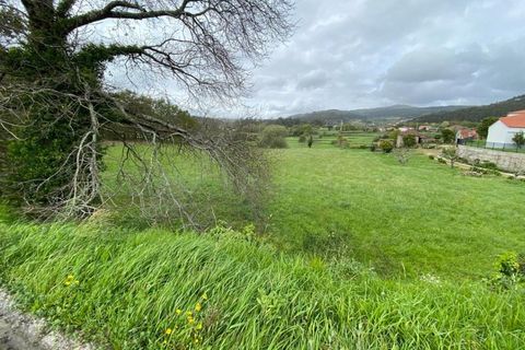 Tomt i Formariz e Ferreira, Viana do Castelo, Formariz e Ferreira - € 40 000 | Ref: MDS4017 - foto 8