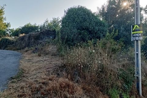 Helårsgrund i Ponte de Lima, Viana do Castelo, Ponte de Lima - € 50.000 | Ref: MDS3730 - foto 1