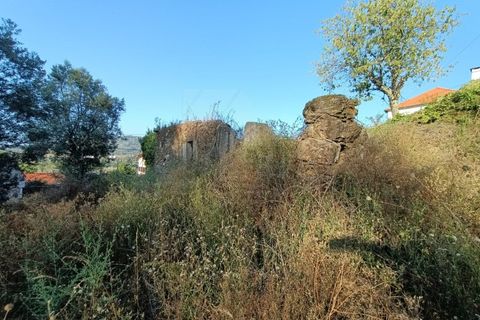 Helårsgrund i Ponte de Lima, Viana do Castelo, Ponte de Lima - € 50.000 | Ref: MDS3730 - foto 2
