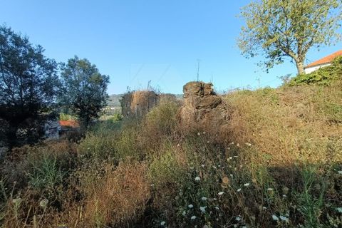 Helårsgrund i Ponte de Lima, Viana do Castelo, Ponte de Lima - € 50.000 | Ref: MDS3730 - foto 3