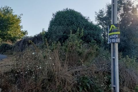 Helårsgrund i Ponte de Lima, Viana do Castelo, Ponte de Lima - € 50.000 | Ref: MDS3730 - foto 4