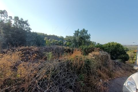 Helårsgrund i Ponte de Lima, Viana do Castelo, Ponte de Lima - € 50.000 | Ref: MDS3730 - foto 7