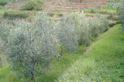 Villa i Monte Argentario, Grosseto, Monte Argentario - € 150.000 | Ref: CG078 - foto 3