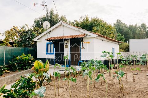Villa i Gamil e Midoes, Braga, Gamil e Midoes - € 199.000 | Ref: 2983 - foto 13