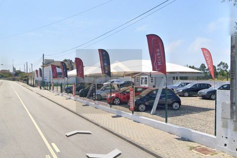 Helårsgrund i Esmoriz, Aveiro, Esmoriz - € 145.000 | Ref: TER_601 - foto 3