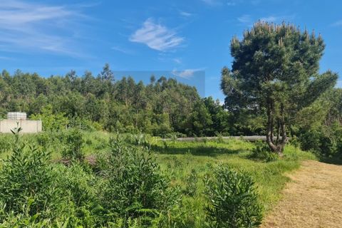 Helårsgrund i Esmoriz, Aveiro, Esmoriz - € 145.000 | Ref: TER_601 - foto 7