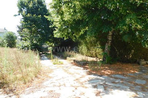Villa i Mangualde, Viseu, Mangualde - € 482.000 | Ref: 382240107 - foto 4