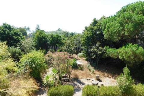 Villa i Mangualde, Viseu, Mangualde - € 482.000 | Ref: 382240107 - foto 20