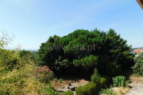 Villa i Mangualde, Viseu, Mangualde - € 482.000 | Ref: 382240107 - foto 21