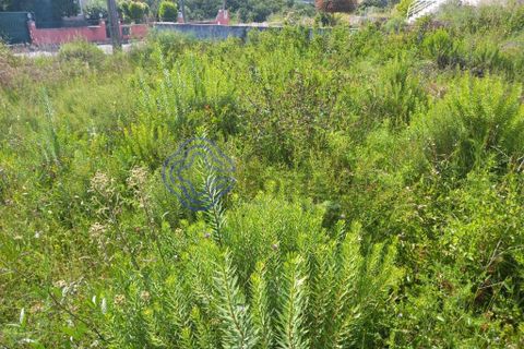 Helårsgrund i Tomar, Santarem, Tomar - € 53.000 | Ref: 182881 - foto 3