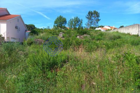 Helårsgrund i Tomar, Santarem, Tomar - € 53.000 | Ref: 182881 - foto 4