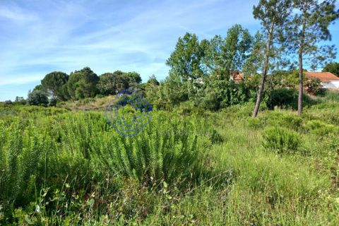 Helårsgrund i Tomar, Santarem, Tomar - € 53.000 | Ref: 182881 - foto 5