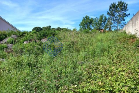 Helårsgrund i Tomar, Santarem, Tomar - € 53.000 | Ref: 182881 - foto 6