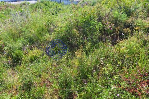 Helårsgrund i Tomar, Santarem, Tomar - € 53.000 | Ref: 182881 - foto 7