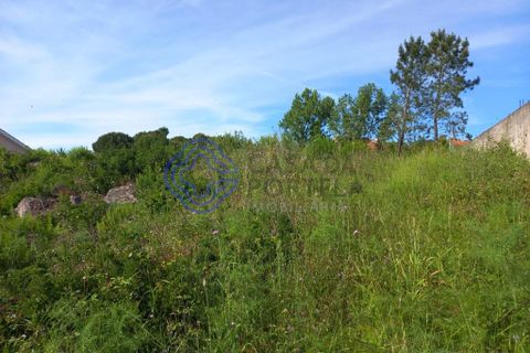 Helårsgrund i Tomar, Santarem, Tomar - € 53.000 | Ref: 182881 - foto 9
