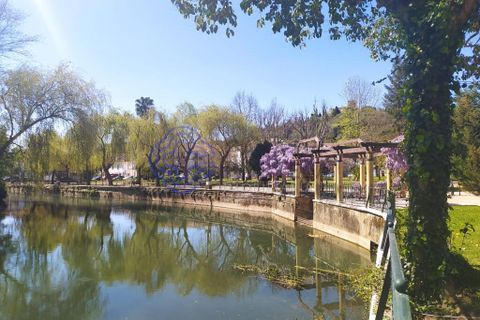 Helårsgrund i Tomar, Santarem, Tomar - € 53.000 | Ref: 182881 - foto 14