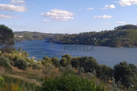 Helårsgrund i Tomar, Santarem, Tomar - € 53.000 | Ref: 182881 - foto 28
