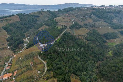 Helårsgrund i Vila Real, Vila Real, Vila Real - € 34.900 | Ref: 183751 - foto 11
