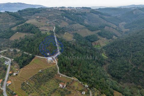 Helårsgrund i Vila Real, Vila Real, Vila Real - € 34.900 | Ref: 183751 - foto 12