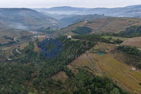 Helårsgrund i Vila Real, Vila Real, Vila Real - € 34.900 | Ref: 183751 - foto 13