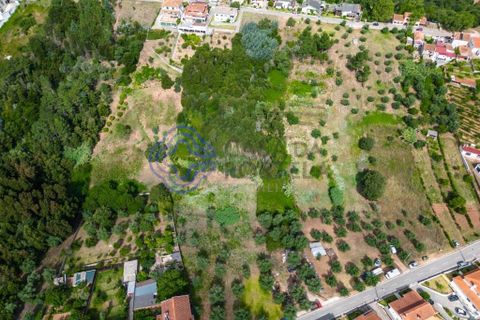 Helårsgrund i Coimbra, Coimbra, Coimbra - € 75.000 | Ref: 182951 - foto 4