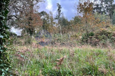 Byhus i Caminha, Viana do Castelo, Caminha - € 80.000 | Ref: 186761 - foto 4