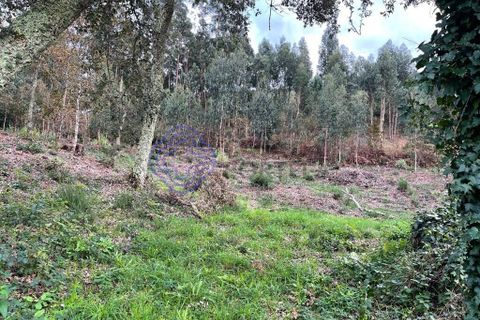 Byhus i Caminha, Viana do Castelo, Caminha - € 80.000 | Ref: 186761 - foto 5