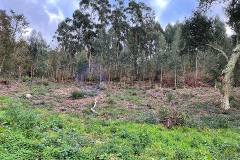 Byhus i Caminha, Viana do Castelo, Caminha - € 80.000 | Ref: 186761 - foto 6