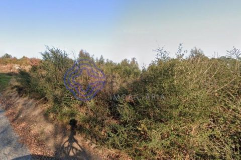Helårsgrund i Lousada, Porto, Lousada - € 460.000 | Ref: 187691 - foto 8