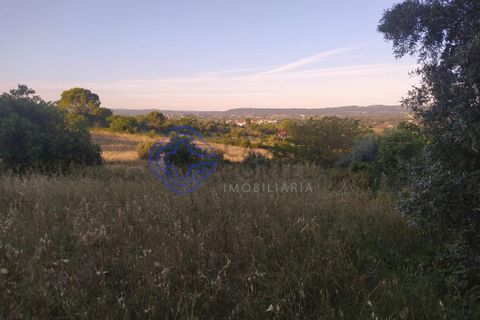 Helårsgrund i Tomar, Santarem, Tomar - € 79.500 | Ref: 183111 - foto 4