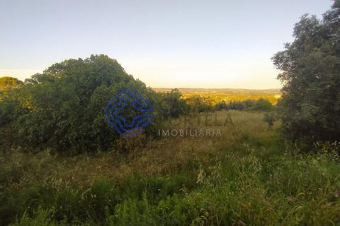 Helårsgrund i Tomar, Santarem, Tomar - € 79.500 | Ref: 183111 - foto 5