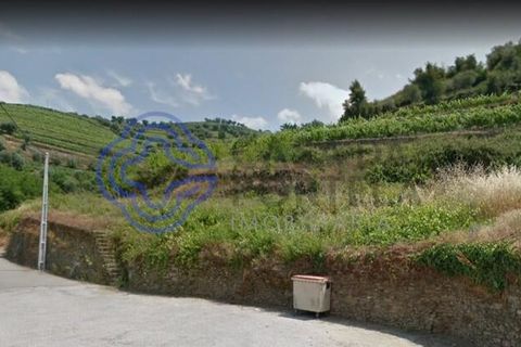 Helårsgrund i Vila Real, Vila Real, Vila Real - € 25.000 | Ref: 183731 - foto 5