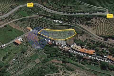 Helårsgrund i Vila Real, Vila Real, Vila Real - € 25.000 | Ref: 183731 - foto 8
