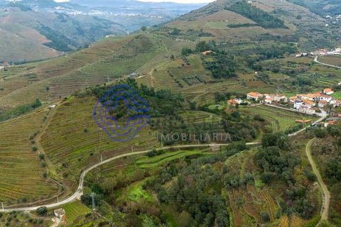 Helårsgrund i Vila Real, Vila Real, Vila Real - € 25.000 | Ref: 183731 - foto 10