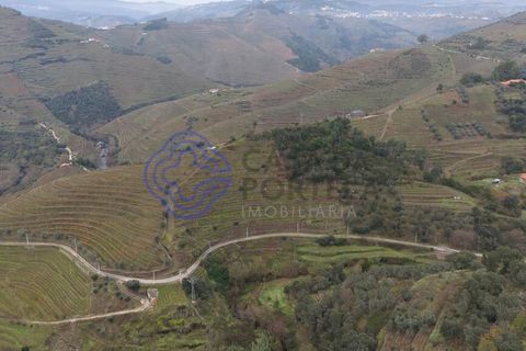 Helårsgrund i Vila Real, Vila Real, Vila Real - € 25.000 | Ref: 183731 - foto 12