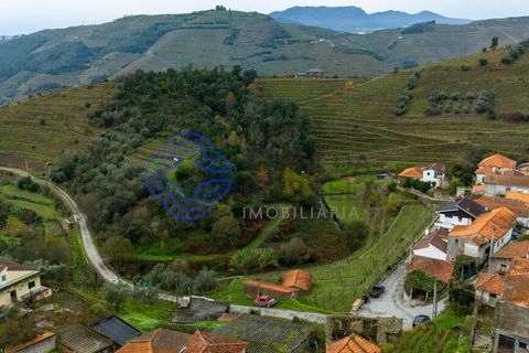 Helårsgrund i Vila Real, Vila Real, Vila Real - € 25.000 | Ref: 183731 - foto 13