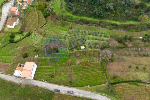 Helårsgrund i Vila Real, Vila Real, Vila Real - € 25.000 | Ref: 183731 - foto 14
