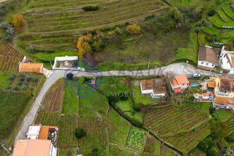 Helårsgrund i Vila Real, Vila Real, Vila Real - € 25.000 | Ref: 183731 - foto 15
