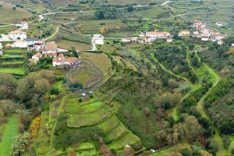 Helårsgrund i Vila Real, Vila Real, Vila Real - € 25.000 | Ref: 183731 - foto 16